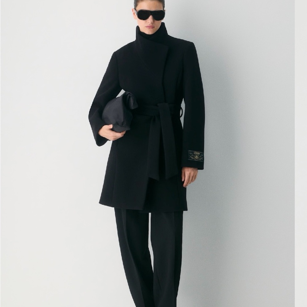 Aritzia Connor Coat